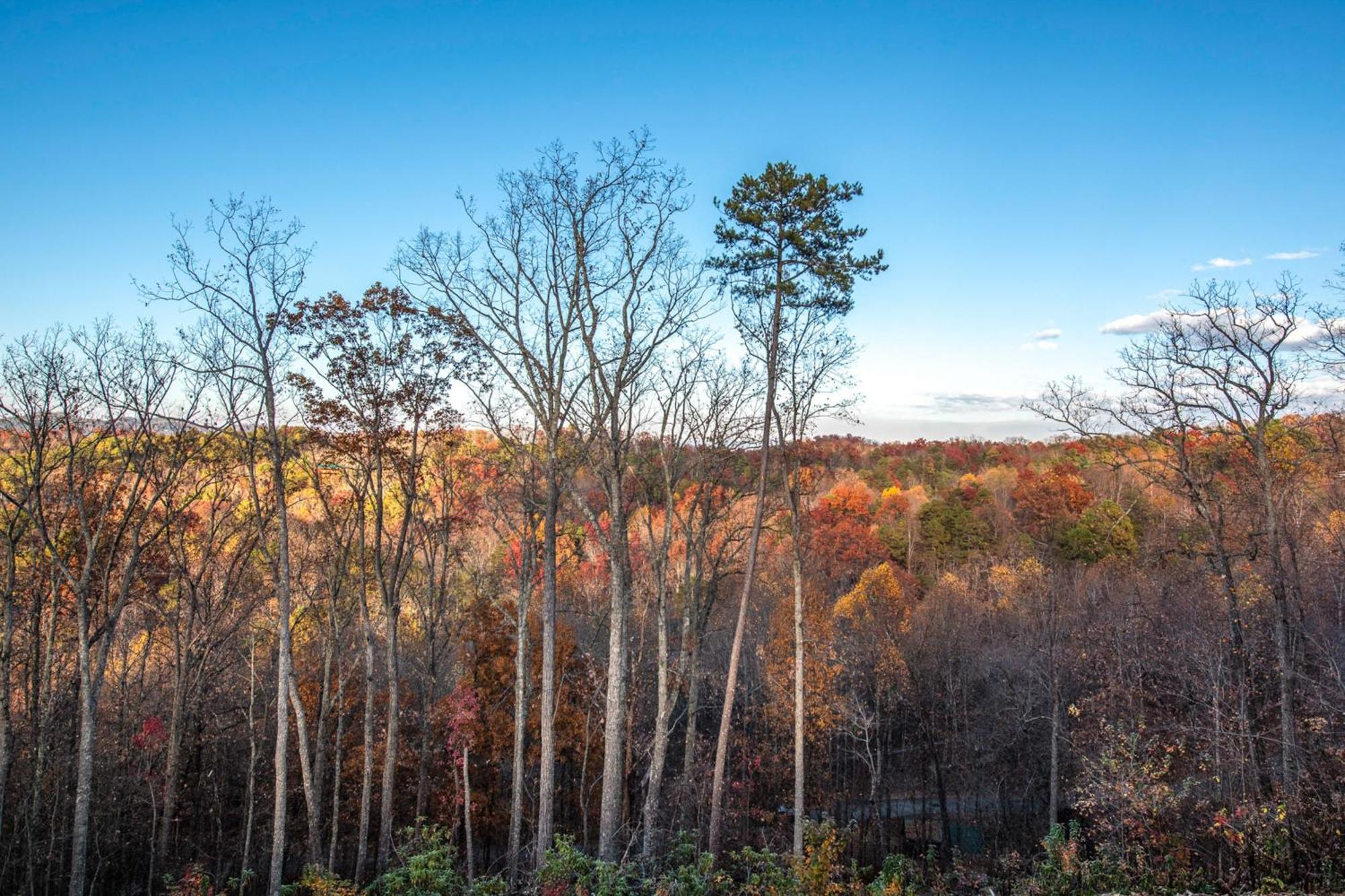 The Treetop Sanctuary Villa Sevierville Eksteriør billede